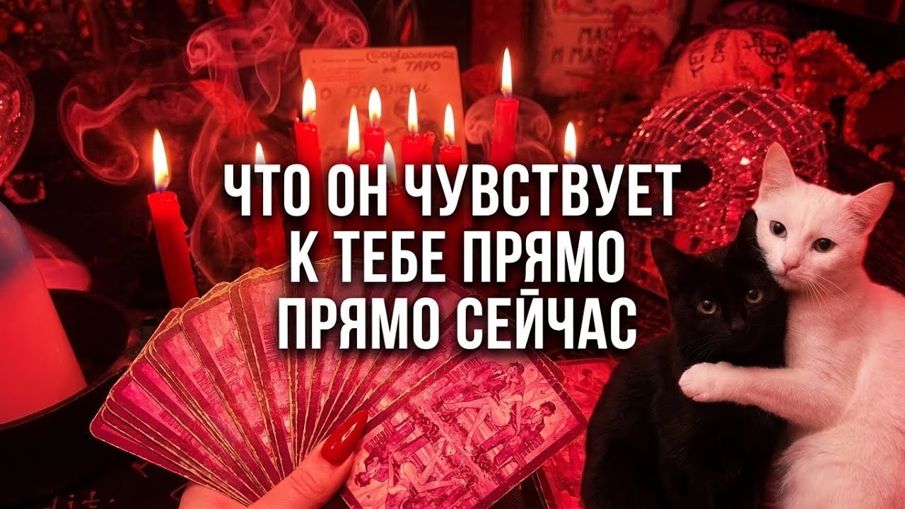 ЕГО ЧУВСТВА К ВАМ СЕЙЧАС? ТАРО