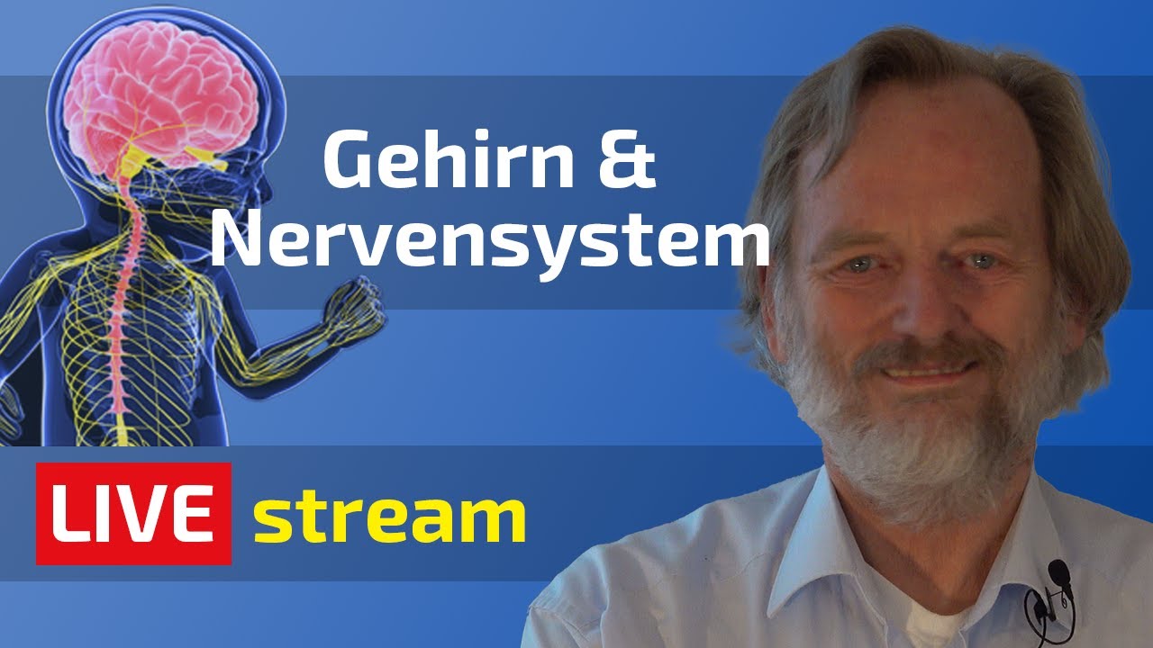 Grundlagen der Sch&uuml;&szlig;ler-Salze | Thema: Gehirn & Nervensystem | Friedrich Depke | Biochemie