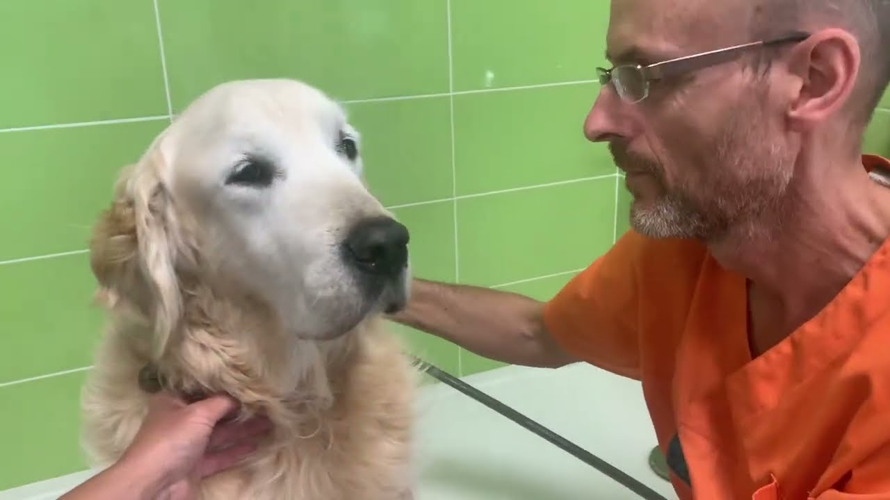Le centre de physiothérapie animale.