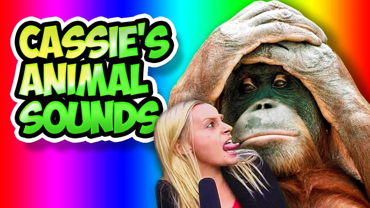 CASSIE'S ANIMAL SOUNDS