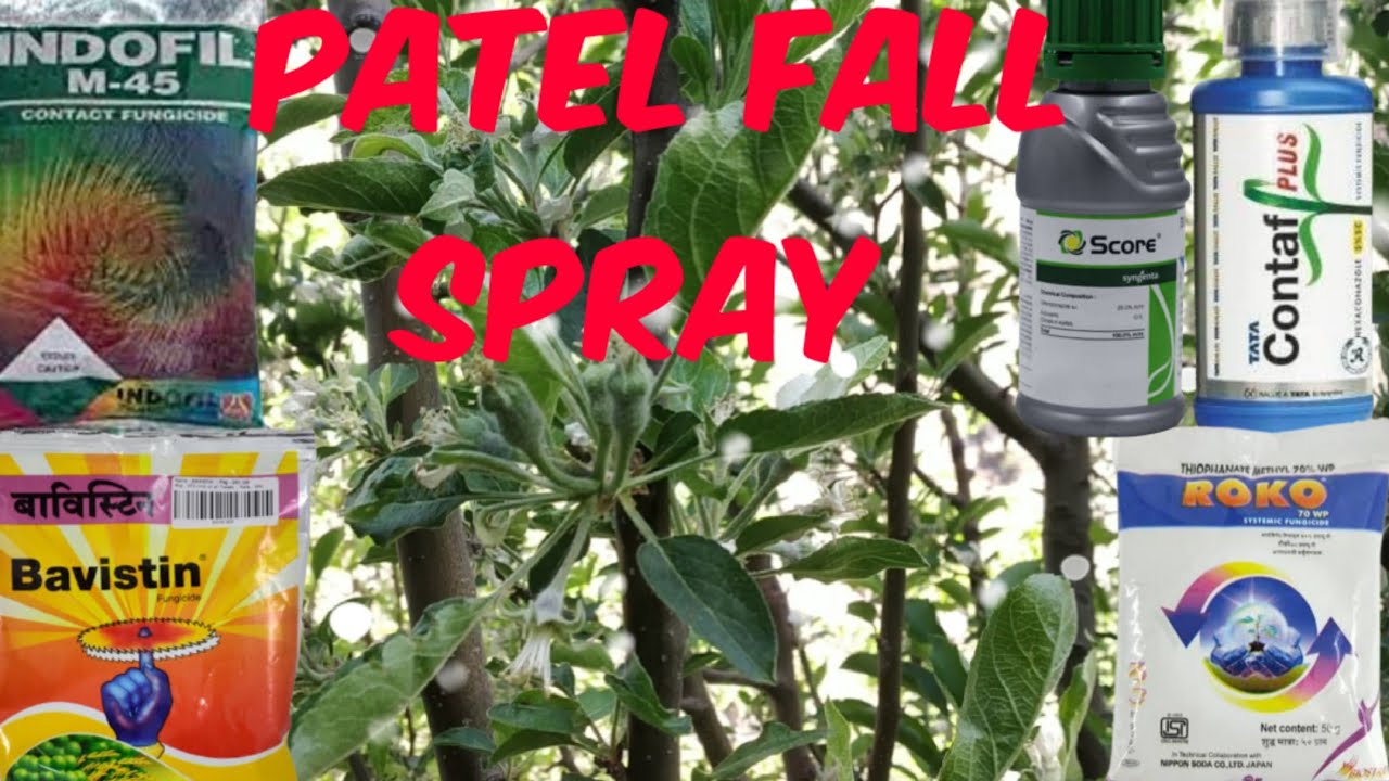 Petal fall pe kon se spray kre 🙏👍(#chauhanvlog)