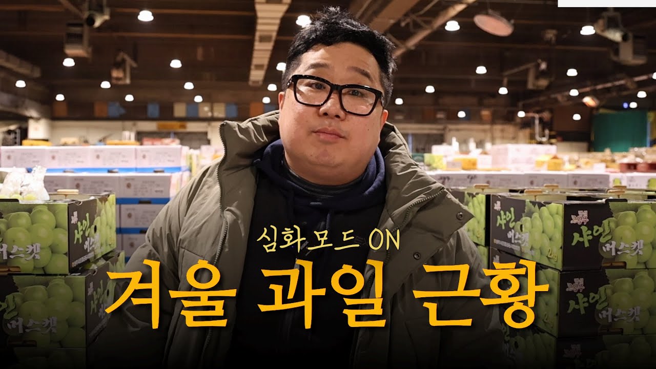 겨울 과일 근황