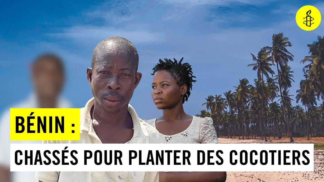 Chassés Pour Planter des Cocotiers--Bénin