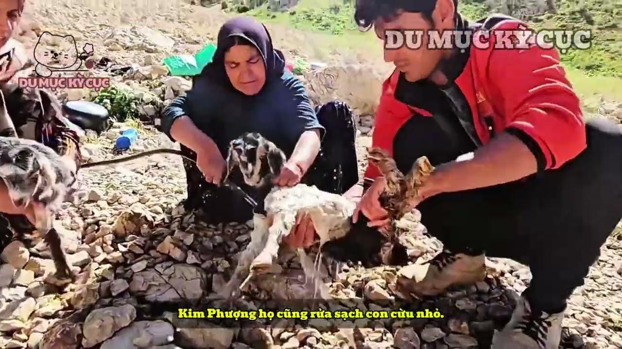 Trồng rau trên đất toàn đá sỏi: Ông lão du mục khai hoang bằng cách xưa, cố gắng hết mình để đổi đời