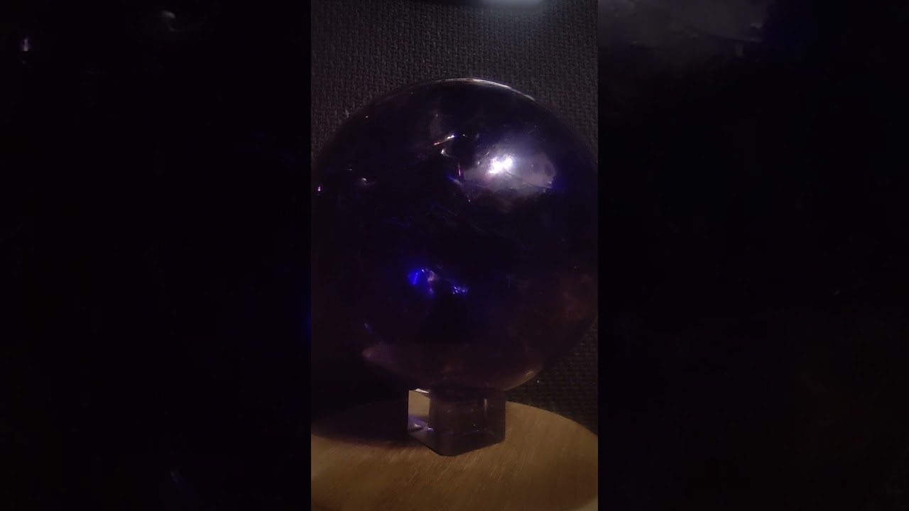 What do you see