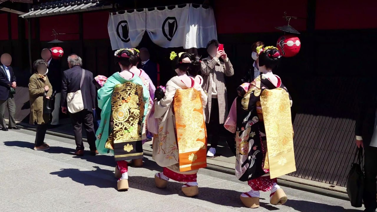 Geisha Walk in Gion Hanamikoji | Sakura | Amazing Beautiful Kimono and Obi | Kyoto Japan Travel