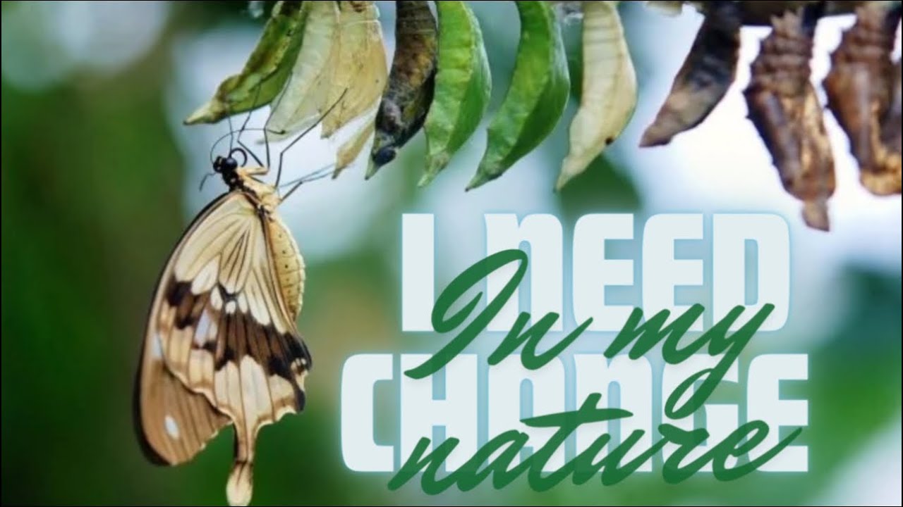 Change In My Nature - Bro. TJ Scott: Sacramento, CA Temple FCOOLJC 