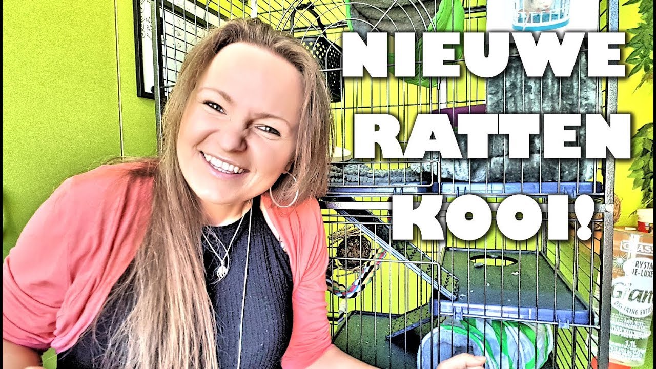 NIEUWE RATTENKOOI! | Perfect knaagdierkooi van Zooplus
