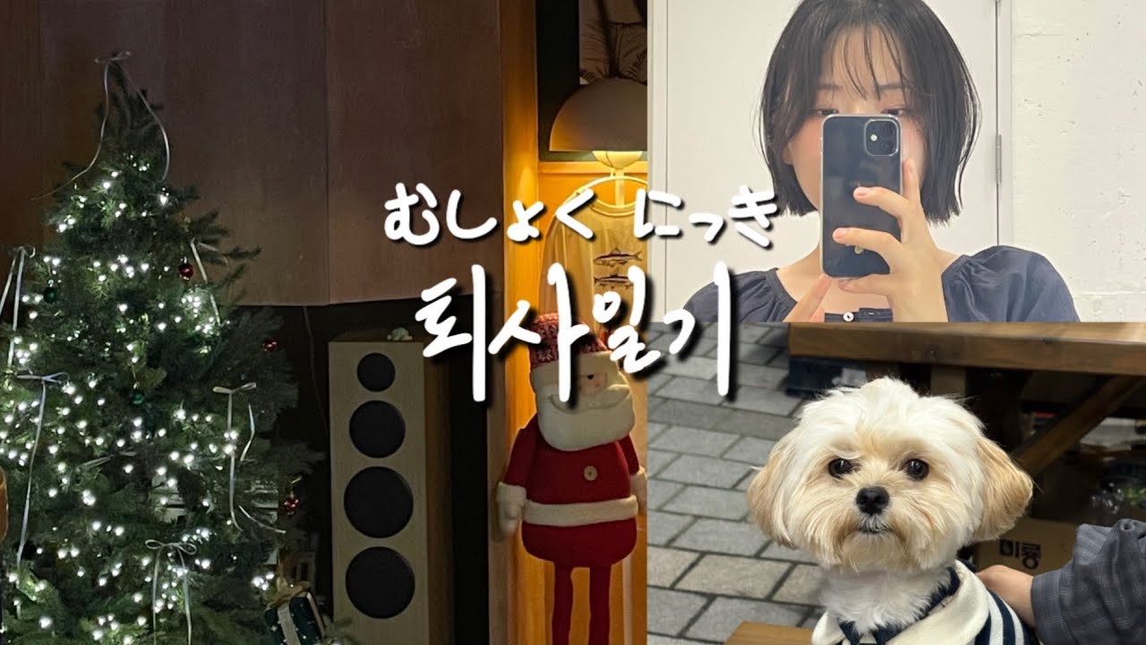 vlog | 전 쿠키카페사장 , 집에서 쿠키만들기
