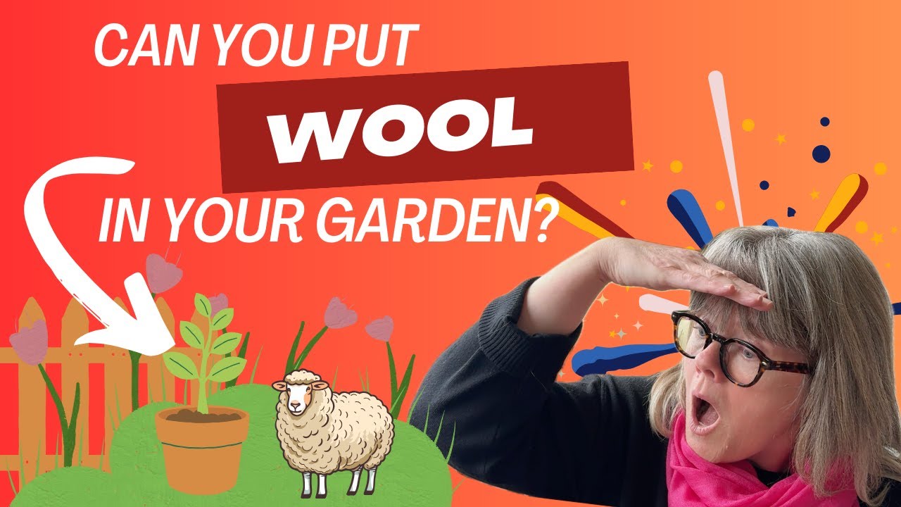 Can Wool Help Your Garden?