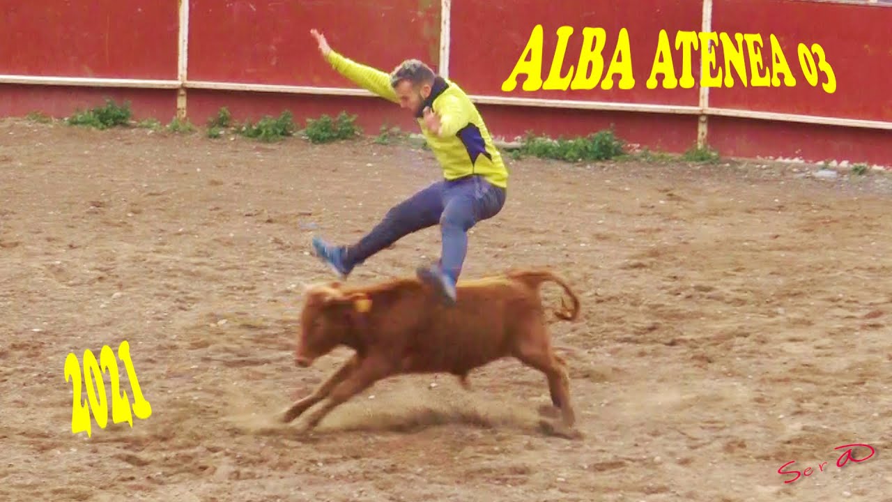 ✅2021 ALMAZORA 03 ◾ VISITA GANADERIA AlbaATenea Capea