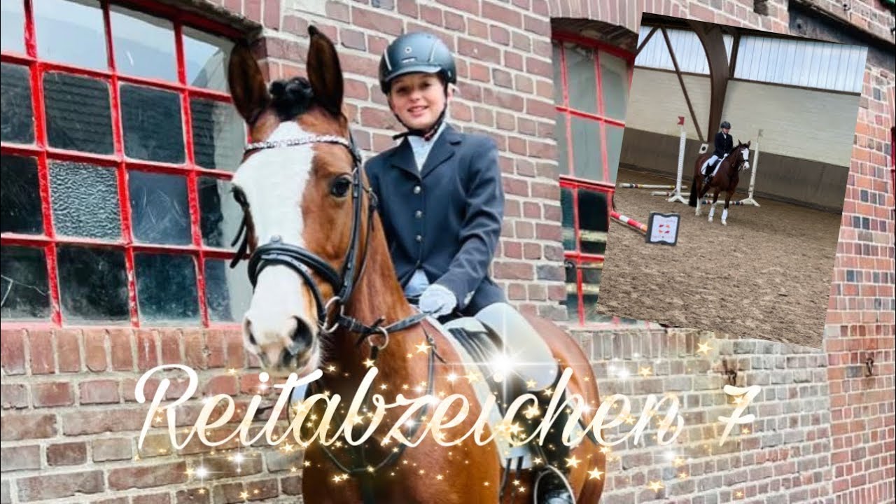 Ich reite das reitabzeichen 7 #shorts #pferde #reitabzeichen #springen #bodenarbeit #dressur