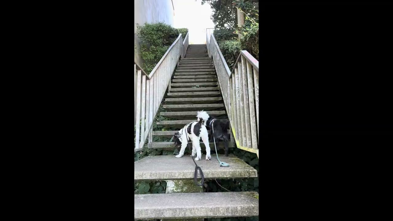 Twin Peaks And the Elizabeth Steps