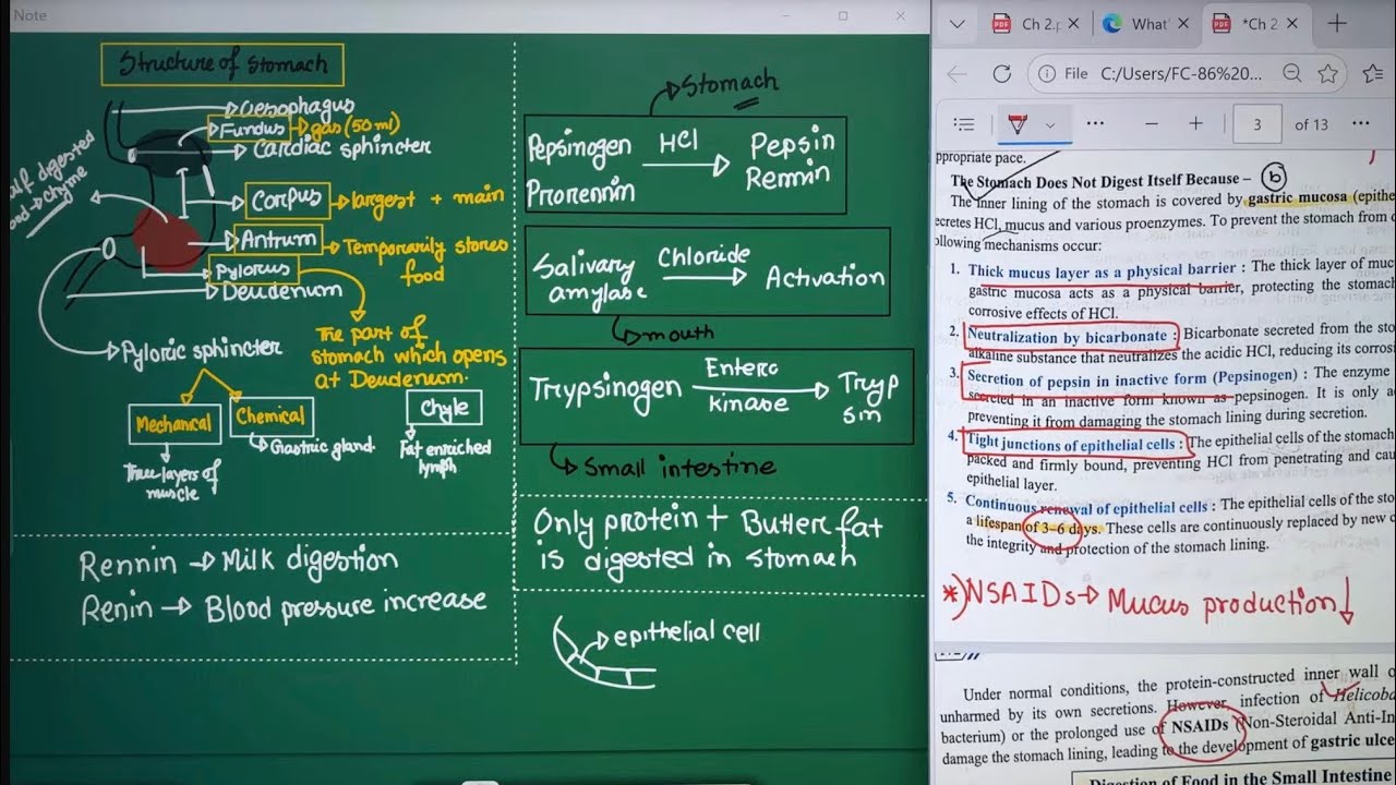 iSC | Zoology | Chapter 3 | Lesson 3 | Digestion | Pre-Medical | Diganta Vai | DMC 