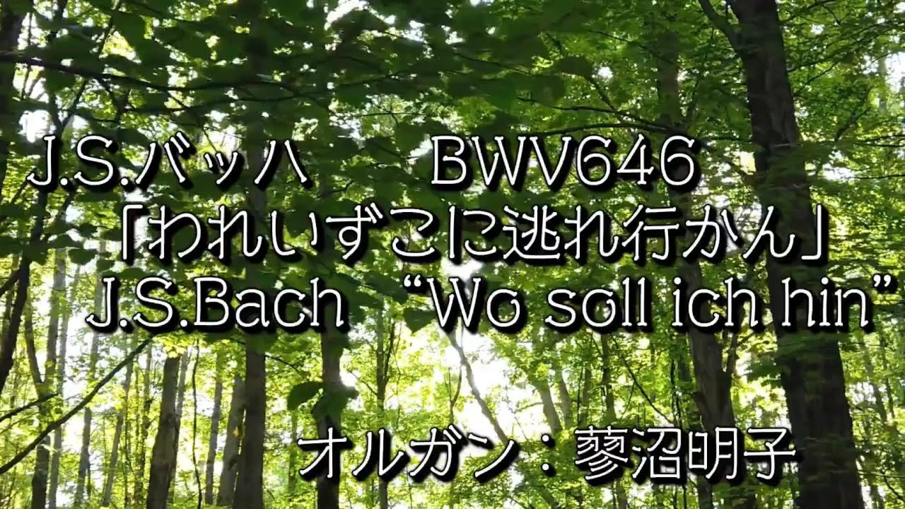 バッハ　われいずこに&hellip; BWV646