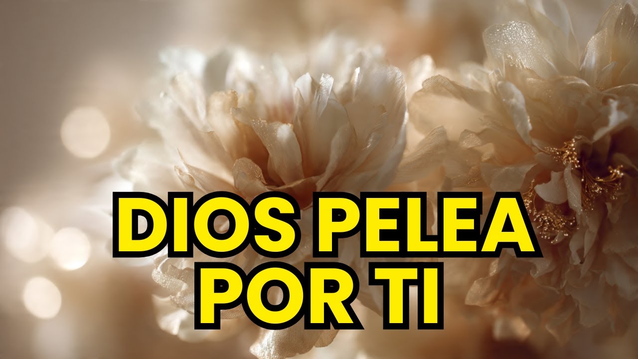 DIOS PELEA POR TI / ALABANZAS CRISTIANAS DE ADORACIÓN PARA MOMENTOS DE BATALLA