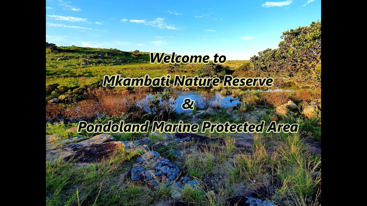 Mkambati Nature Reserve