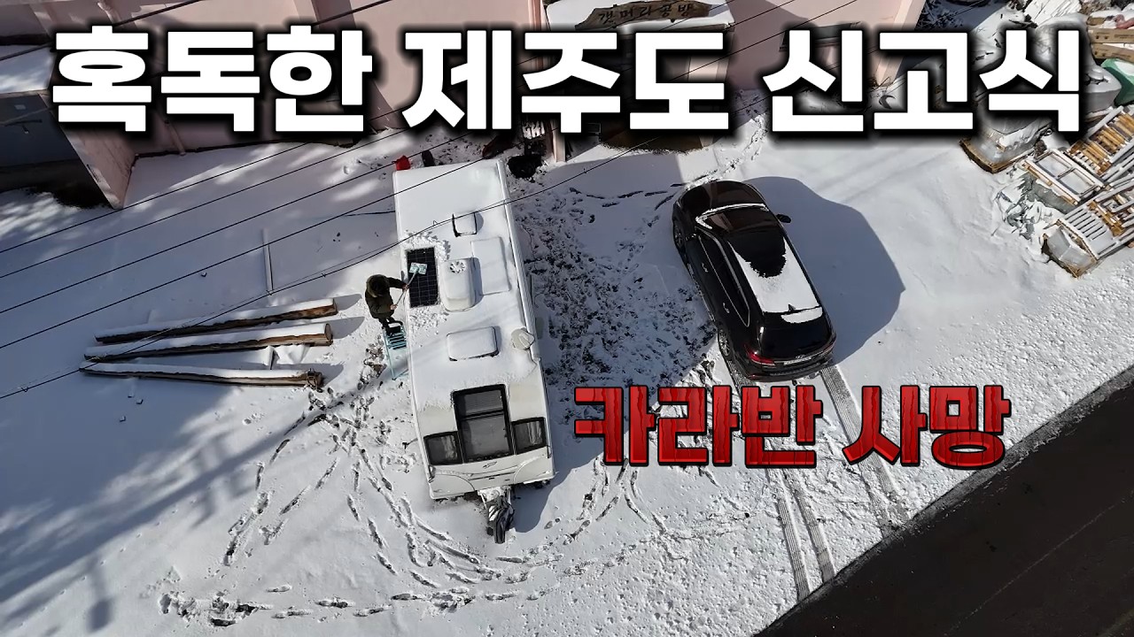 제주도 오자마자 육지로 돌아가고 싶다