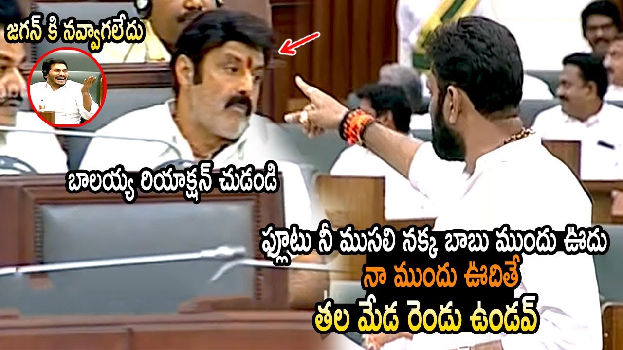 బాలయ్య VS కోడలి నాని : See How Kodali Nani Reacts After Seeing Balakrishna Behaviour In Assembly