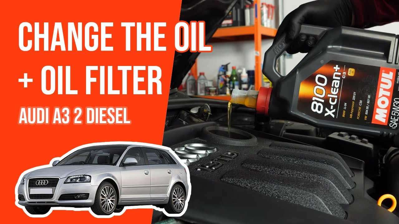 Change the oil and the oil filter AUDI A3 mk2 1.9 TDI 🛢