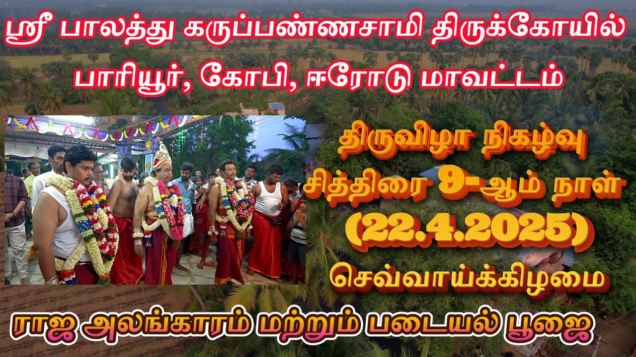 23-ஆம் திருவிழா(22.4.2025)செவ்வாய்க்கிழமை ராஜஅலங்காரம் பாலத்து கருப்பண்ணசாமி திருக்கோயில் பாரியூர்
