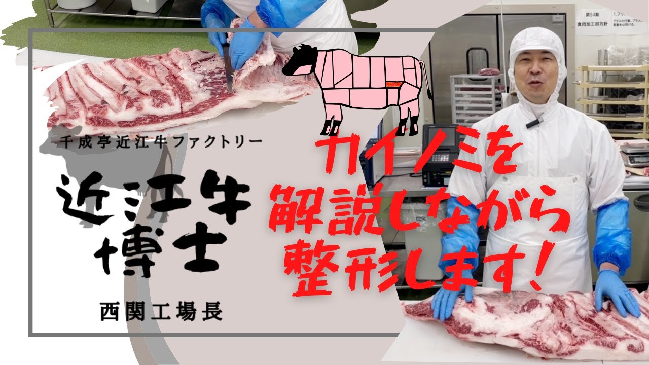 【精肉現場見学】牛肉博士が解説する近江牛カイノミが整形されるまで🍖
