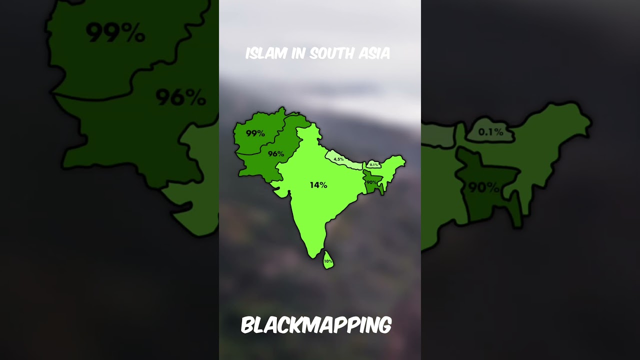 Islam in South Asia ☪️ #mapping #geography #islam
