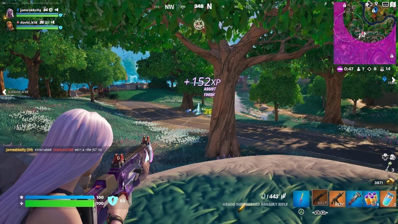 Fortnite David clutch