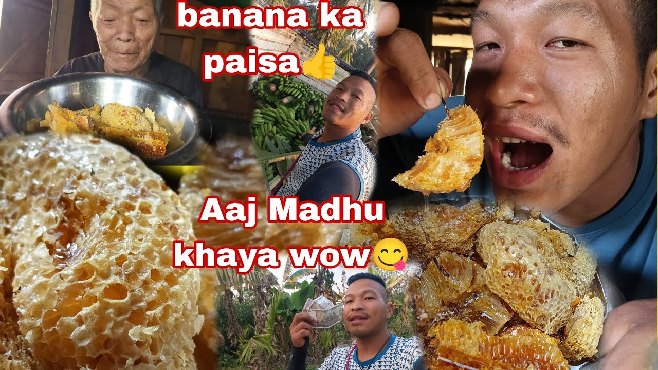 Aaj banana Lene aya Asam se 🙏  || or organic Madhu khaya wow 🤗🤗😋😋😋