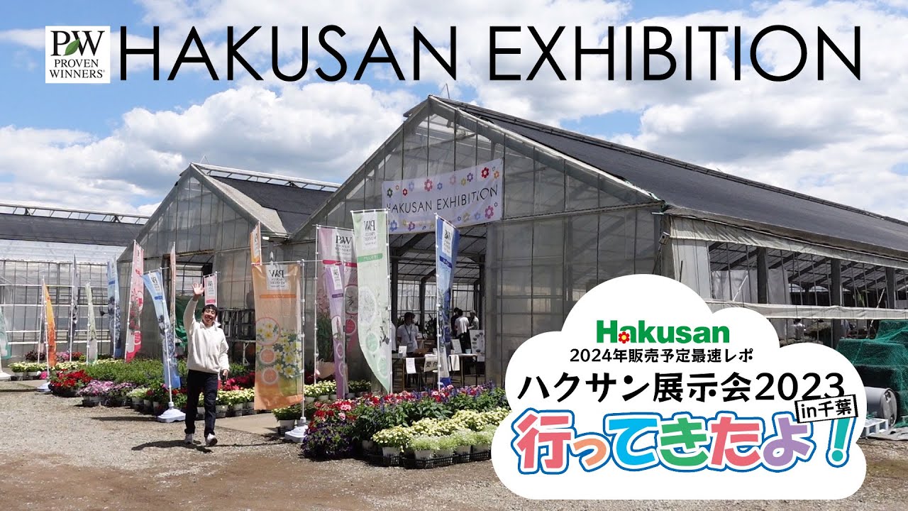【新品種が満載！】千葉で開催されたハクサン展示会にお邪魔させていただきました♪2024年に販売されるであろうお花から、世界初のお披露目となるアノお花までたくさんの新品種が展示されていたので紹介します！