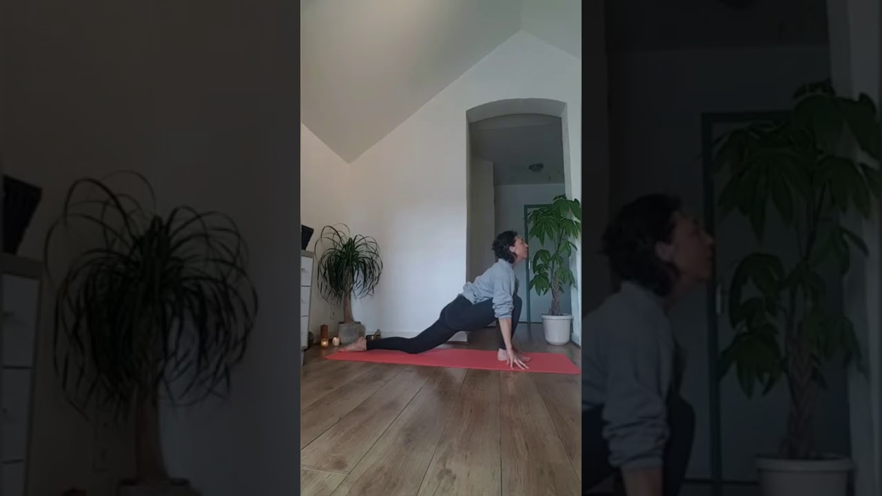 Hatha Yoga tous niveaux