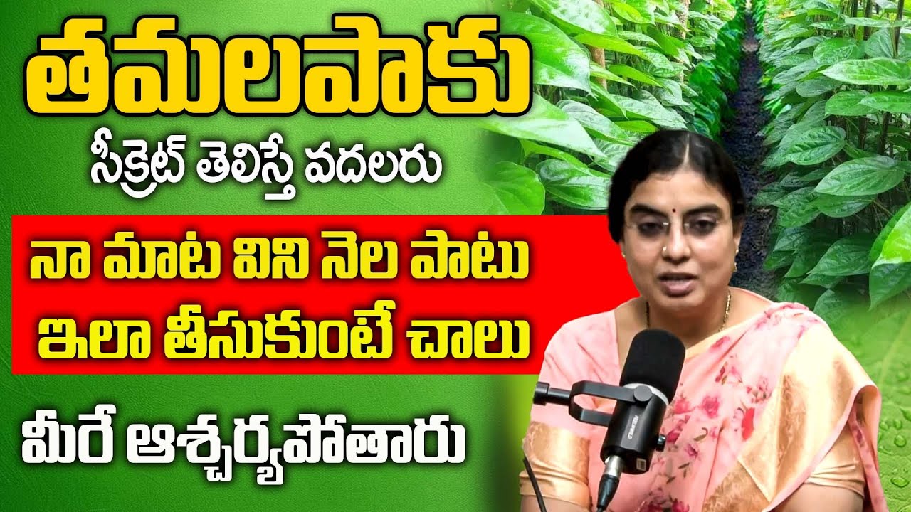 తమలపాకు వల్ల ప్రయోజనాలు  | Amazing Benefits Of Betel Leaves | @BRKhealthcare