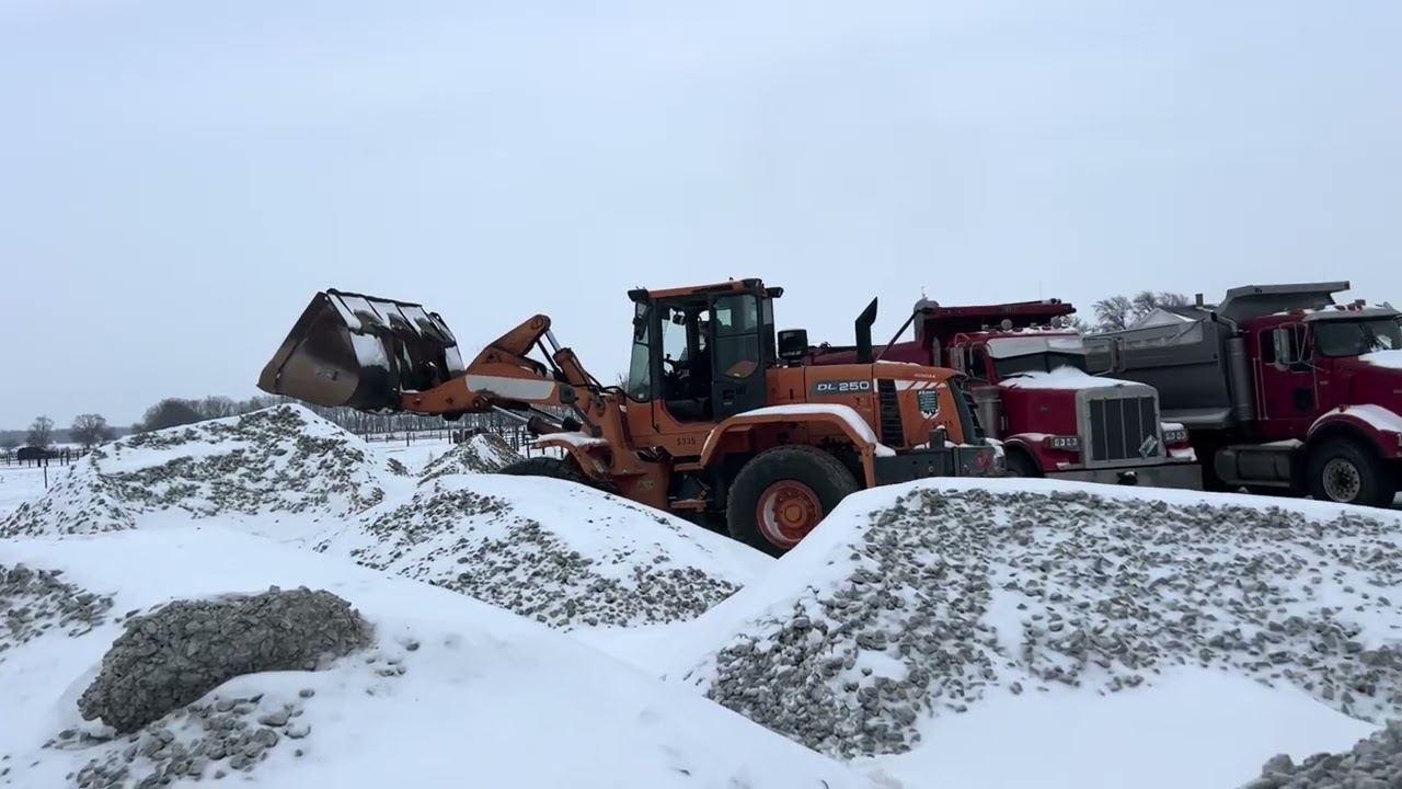 Lot 108: 2010 Doosan DL250 Wheel Loader