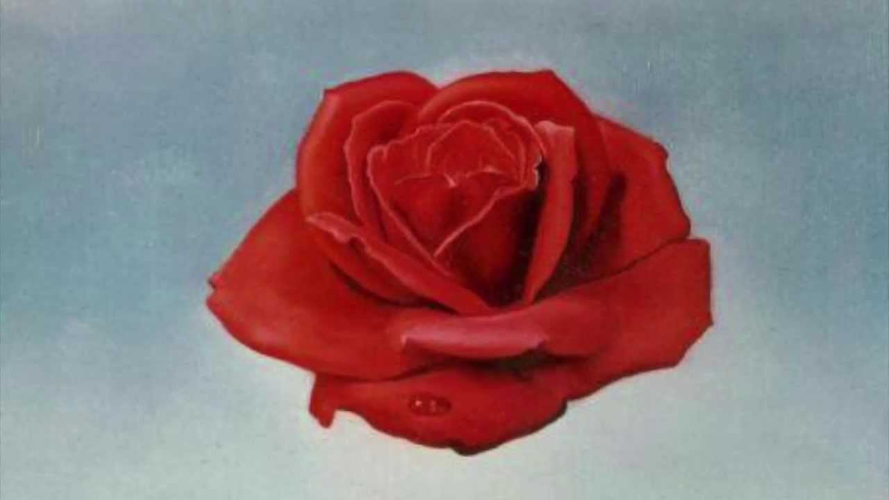 Shirown - Saw The Rose
