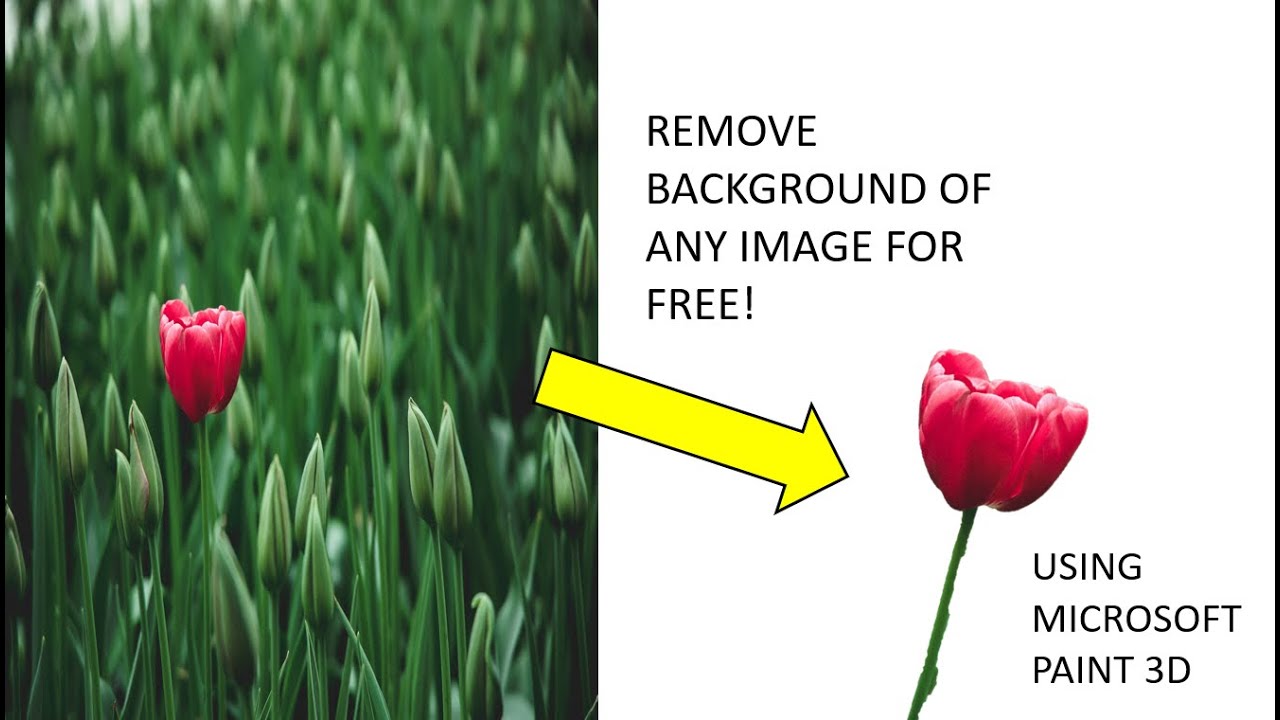 Remove your photo's background using Microsoft paint 3D!