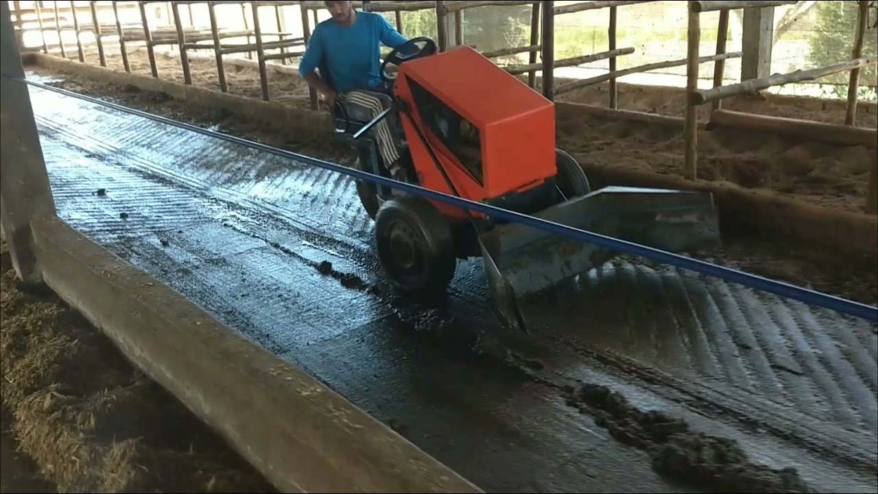 Limpando Pista de Free Stall com novo raspador