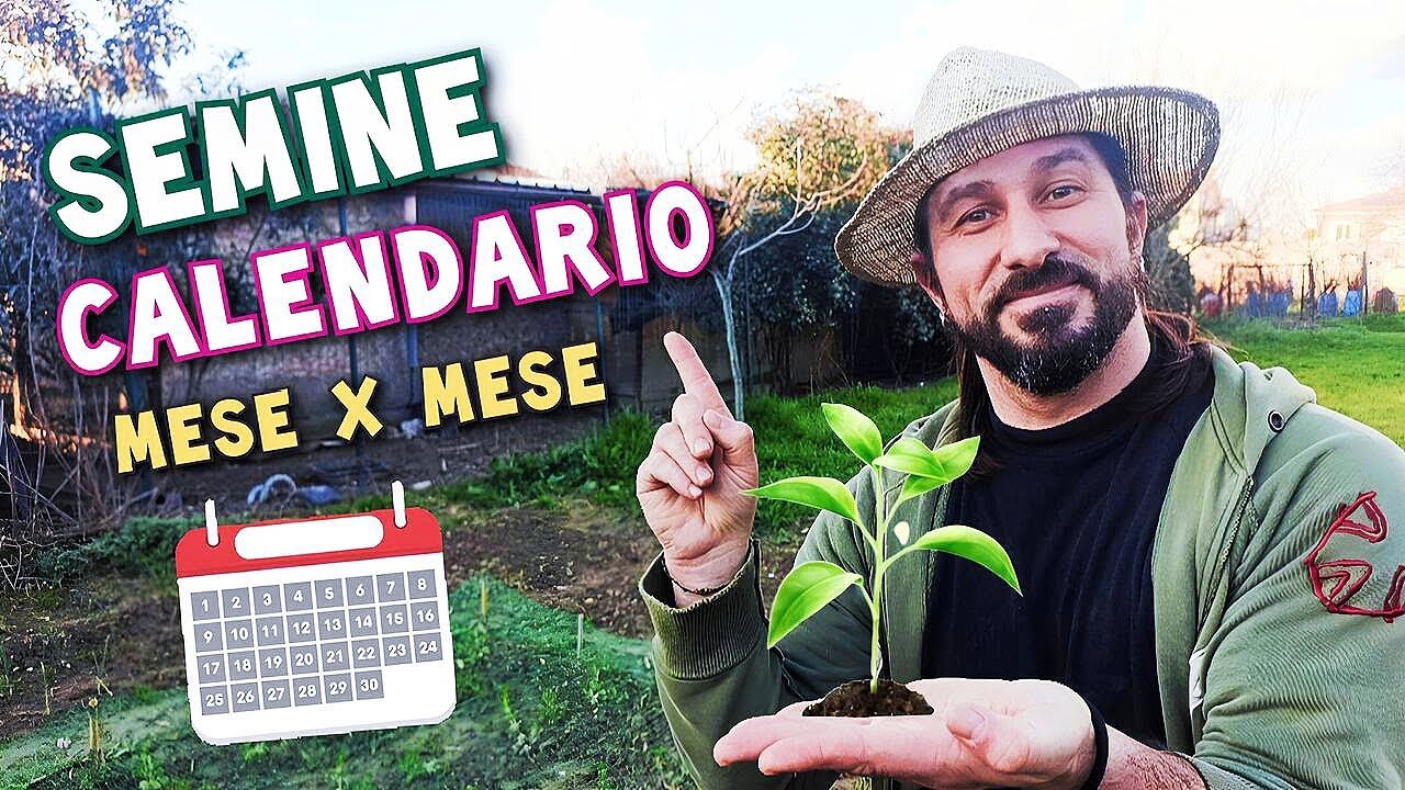 Seminare ortaggi tutto l 'anno - calendario delle semine mese per mese.
