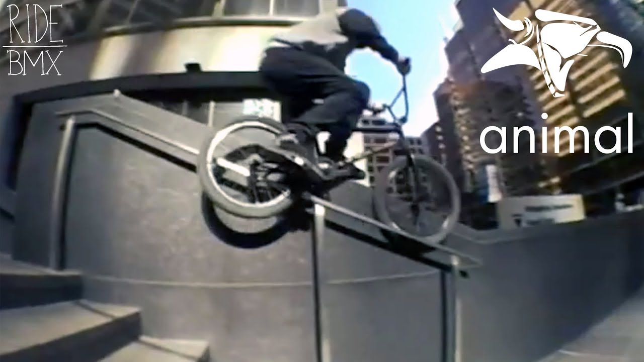 CHRIS SILVA - ANIMAL BMX