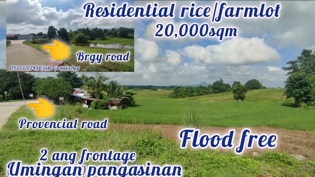 lot#360 Residential rice/farmlot 2has titled property 200/sqm cgt sgot ni seller negotiable