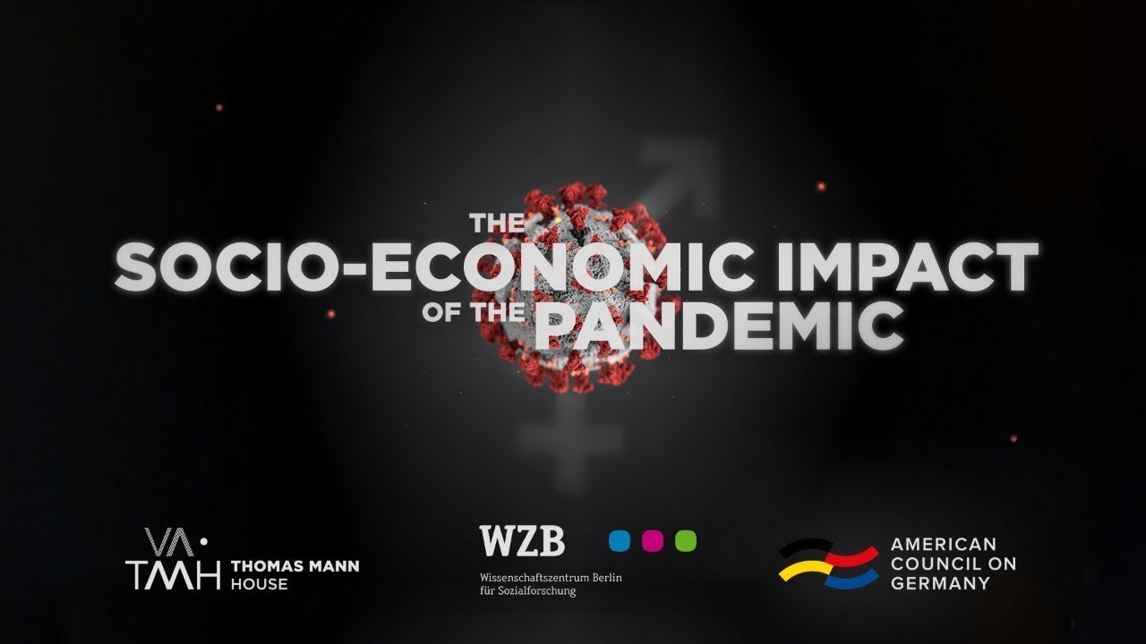The Socio-Economic Impact of the Pandemic
