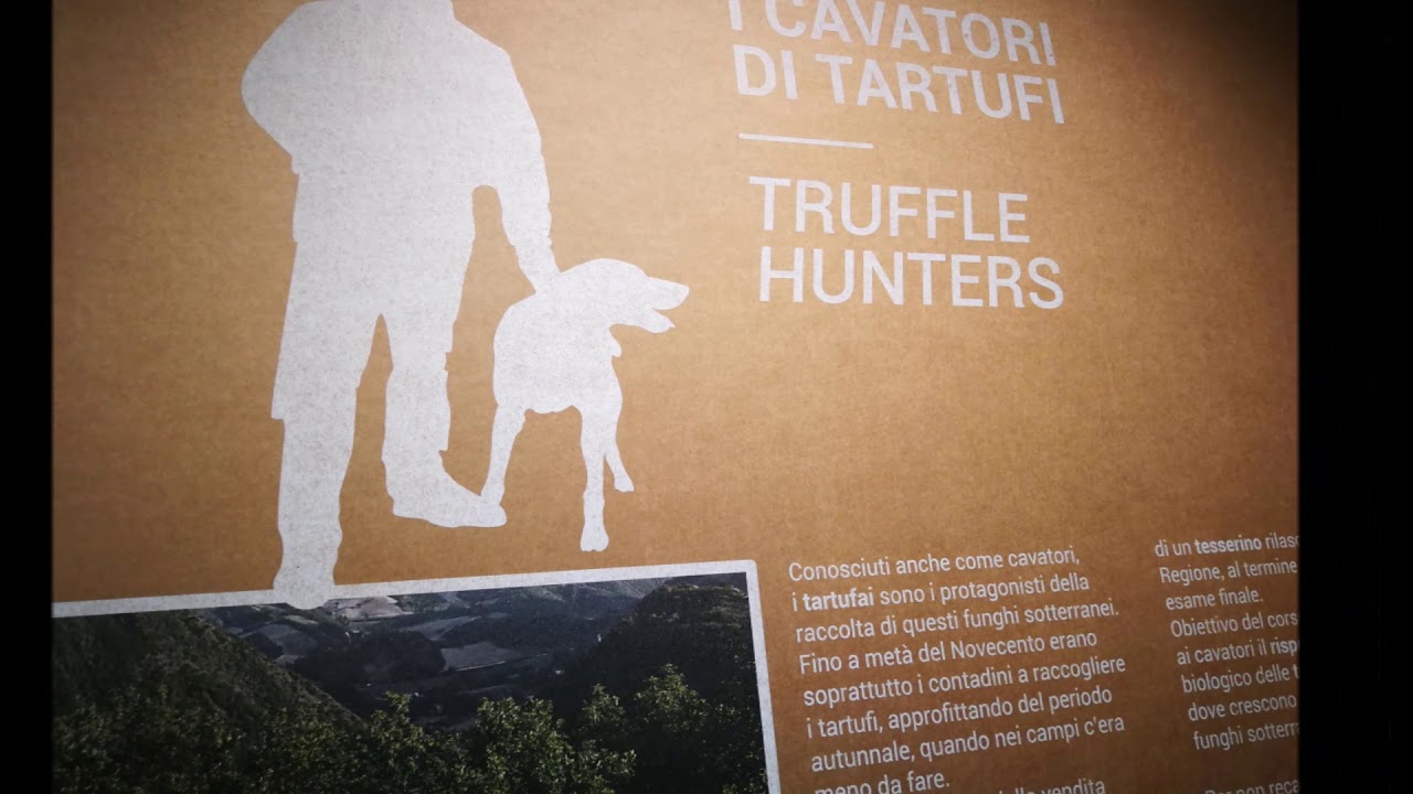 Truffle Museum di Acqualagna