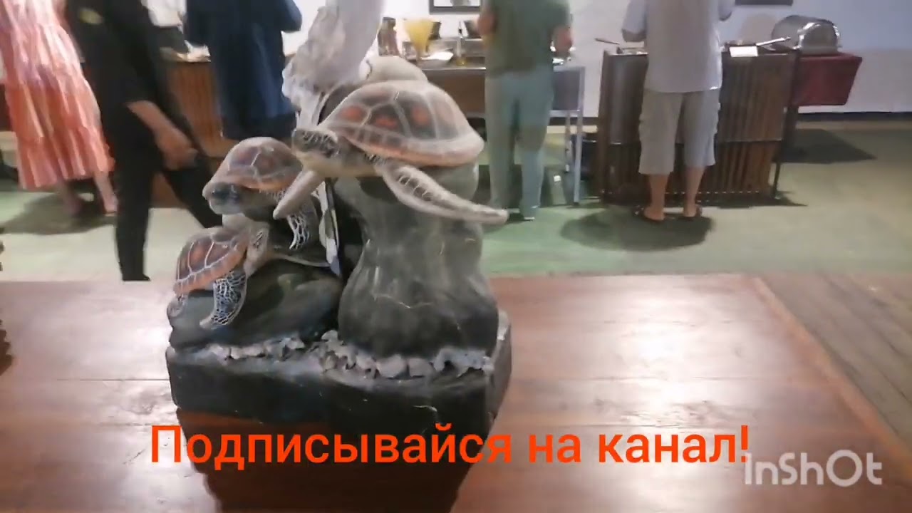 Ужин на Шри-ланке. Отель ве Палмс. Берувела.