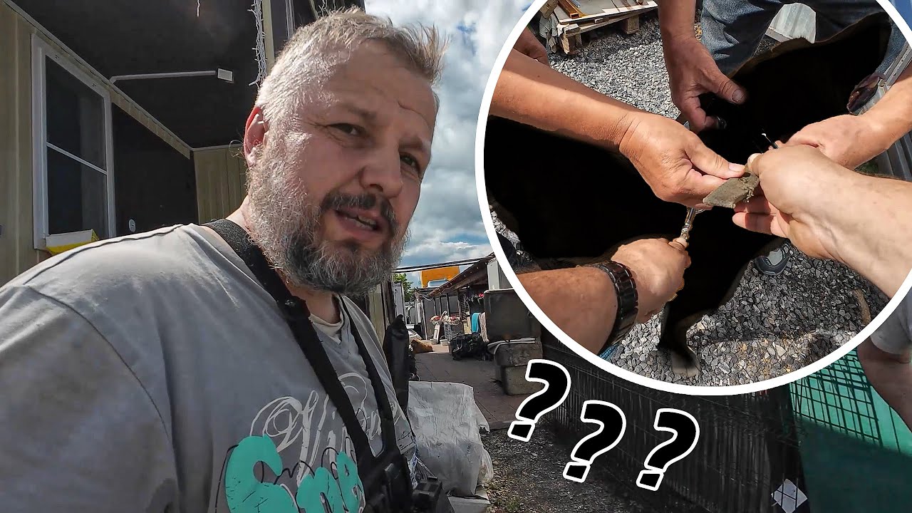 Кто сегодня покинет хвостатое счастье?!