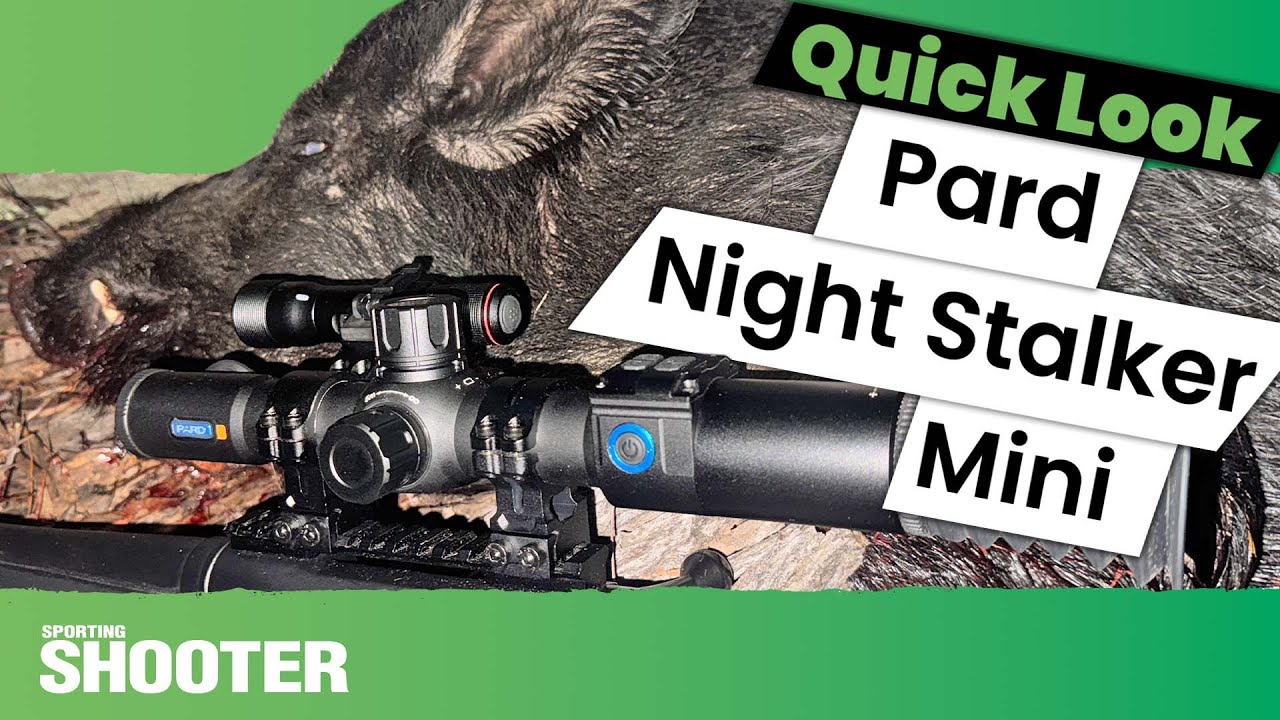 Быстрый обзор: ночной прицел Pard Night Stalker Mini
