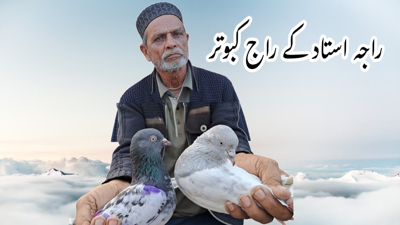 Aala Nasal Kay Kabootar (Raja Ustad Kay)