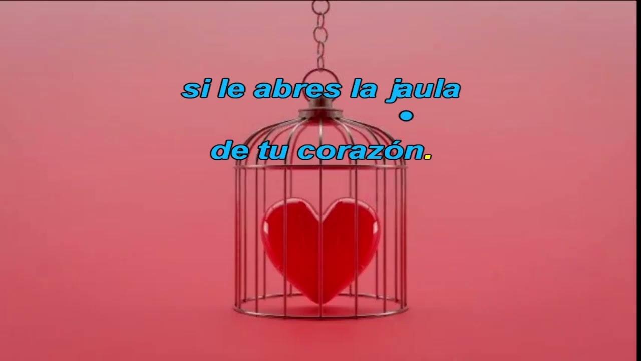 Pajarillo enamorado (Karaoke)