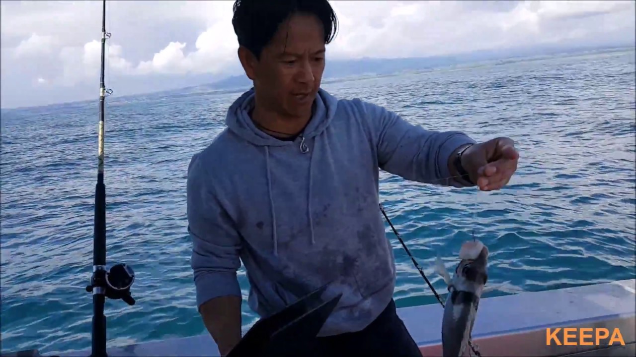 Keepa Fish Handler - An NZ fishing innovation for fish handling and sustainability
