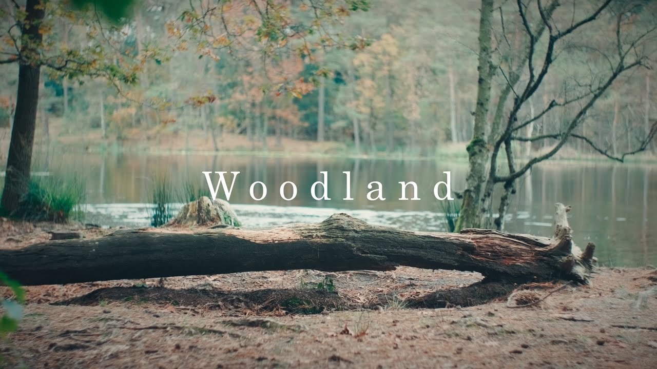 Woodland | Cinematic | Fujifilm XT-4 | Helios 44-2