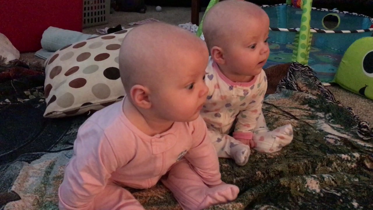 Twin babies watch Hogwarts train