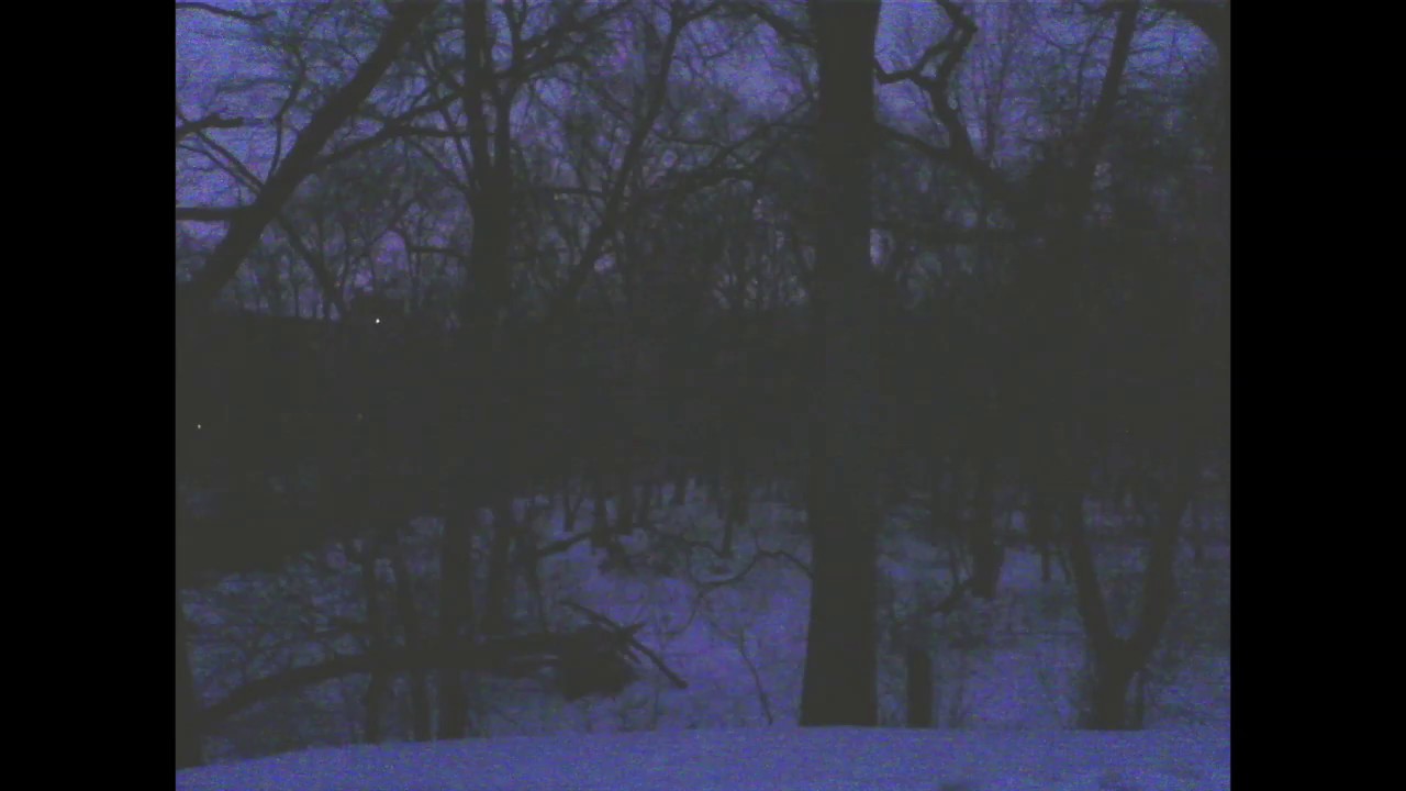 wounded solitude